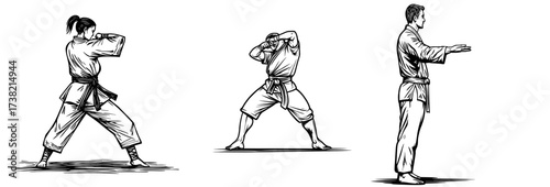 The silhouette of a martial artist in karate is posed in action for themes of self-defense and training