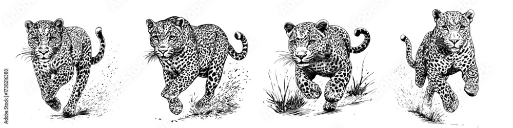 Obraz premium A modern leopard is depicted in a watercolor painting set against a white background