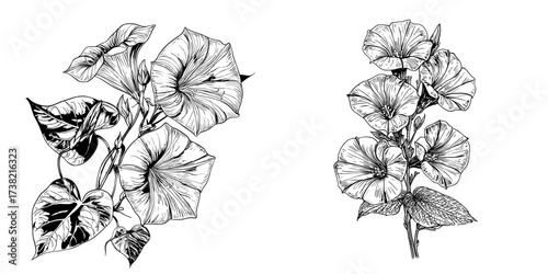 A watercolor artwork featuring a solitary Campanulaceae branch on a white background exudes modernity