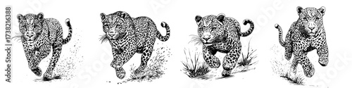 A modern leopard is depicted in a watercolor painting set against a white background