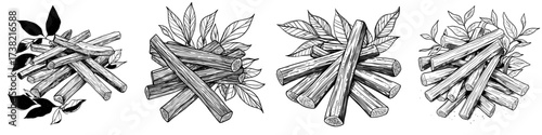 A colorful Licorice Root illustration is depicted in a simple hand-drawn style, characterized by trendy abstract minimalism and a natural fresh aesthetic, isolated on a white background in modern eps