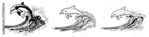 A contemporary depiction of a dolphin in a playful leap, set against a plain white backdrop