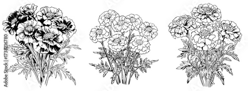 Watercolor marigold flowers arranged in a bouquet on a plain background