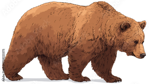 Detailed Grizzly Bear Full Body Design Illustration - Animal Wildlife Art