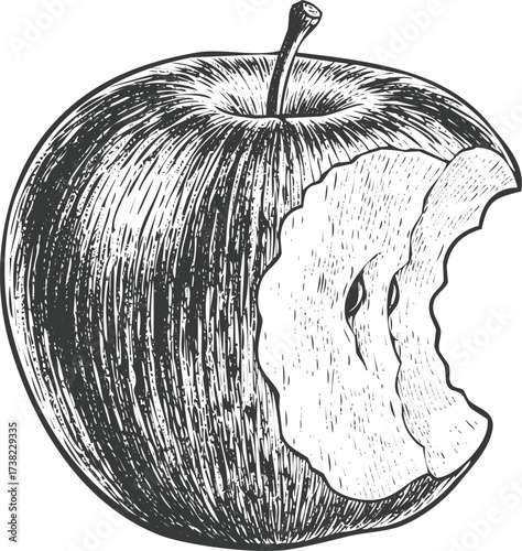Handdrawn sketch of a halfeaten apple with bite mark, engraving art, vintage style