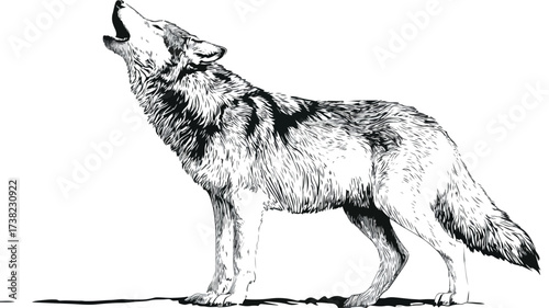 Wild Howling Wolf Dog Full Body Design Vector Illustration