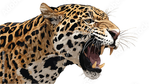 Wild Roaring Jaguar Leopard Head Face Vector Illustration