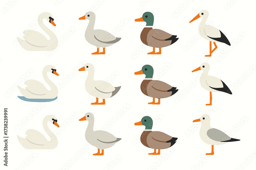 Obraz premium A set of icons representing various waterfowl. Simple outline icons in pastel colors that can be used for designs related to nature or aquatic ecosystems.