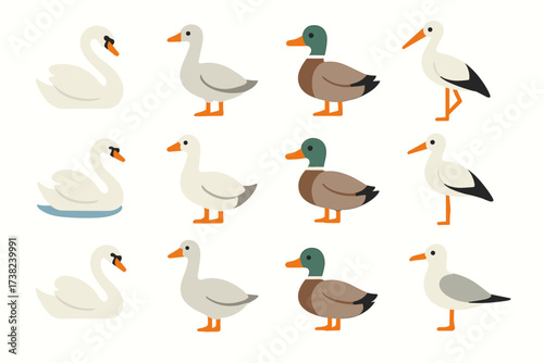 A set of icons representing various waterfowl. Simple outline icons in pastel colors that can be used for designs related to nature or aquatic ecosystems.