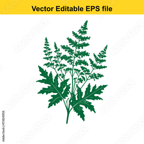 Vector art of green fern branch, vector illustration