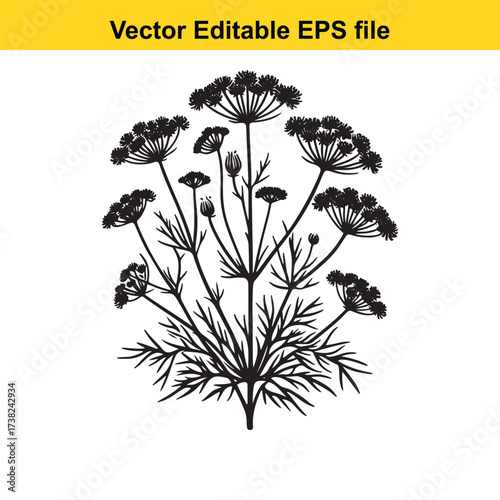Vector art of dill plant silhouette, vector illustration