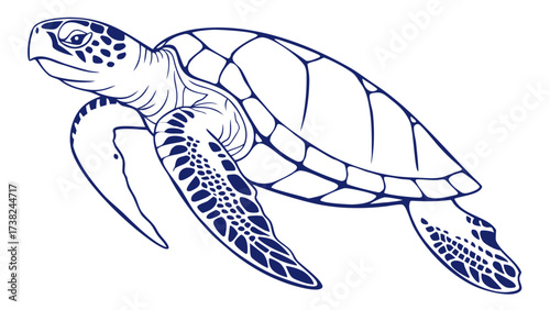 Turtle Swimming Gracefully in Ocean Blue - Vector Illustration of Marine Life