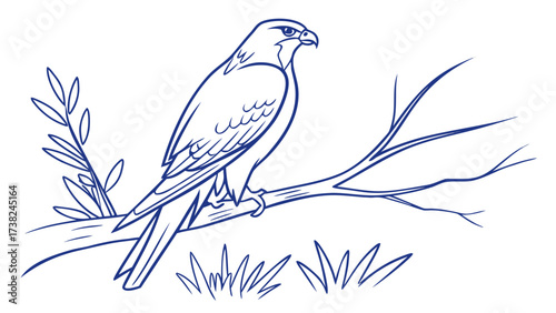 Bird Watching, Subject: Falcon, Location: Natural Habitat, Content Type: Illustration, Environment: Outdoor, Viewpoint: Side Profile, Concept: Minimalist