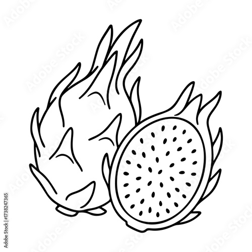 Dragon Fruit Outline icon, Pitaya Doodle style. Hand drawn black and white isolated icon. Coloring page, art therapy, line art, logotype. Vector illustration