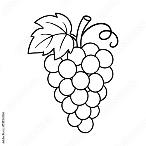 Grape vine, leaf and berries. Doodle style. Hand drawn black and white isolated icon. Coloring page, art therapy, line art, logotype. Vector illustration