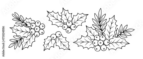 Holly branches outline Illustration. Doodle style. Hand drawn black and white isolated icon. Coloring page, art therapy, line art, logotype. Vector illustration