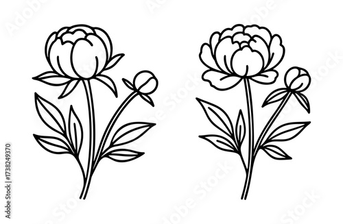Peony flowers. Botanical Doodle style. Hand drawn black and white isolated icon. Coloring page, art therapy, line art, logotype. Vector illustration