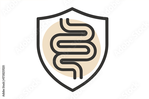 Modern Gut Health Icon with Shield Protection, Outline Style Vector Illustration for Apps, Social Networks, Design Cards, Transparent Background, Medical Digestive System Concept