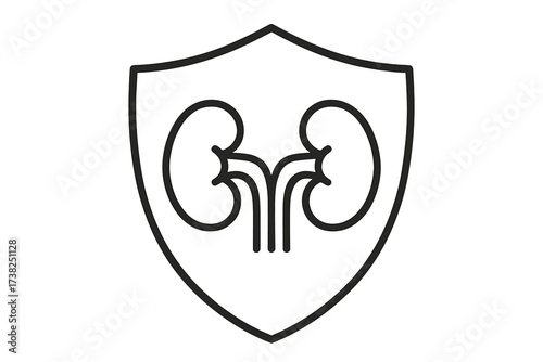 Kidney Protection Shield Icon Outline, Medical Health Care Concept, Human Organ Symbol for Healthcare, Urology Design, Kidney Disease Awareness Vector Illustration