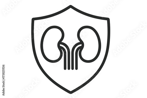 Shield outline with kidney icons symbolizing kidney protection and health care concept. Medical shield vector for healthcare, safety, urology, and organ defense design.