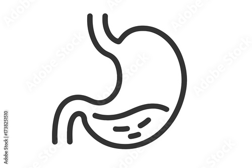 Stomach icon, linear style. Gastric symbol for medical and healthcare concepts. Vector illustration of human organ anatomy, digestive system, digestion, gut health, and microbiome.