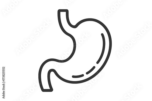 Stomach icon vector. Gastric linear symbol. Human organ anatomy. Digestion concept. Gastroenterology illustration. Gut health, indigestion, medical sign. Healthcare pictogram.