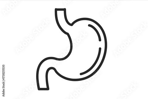 Stomach icon. Gastric symbol. Linear vector of human organ for anatomy, digestion, gastroenterology, and health concepts. Digestive system, belly, esophageal tract sign.