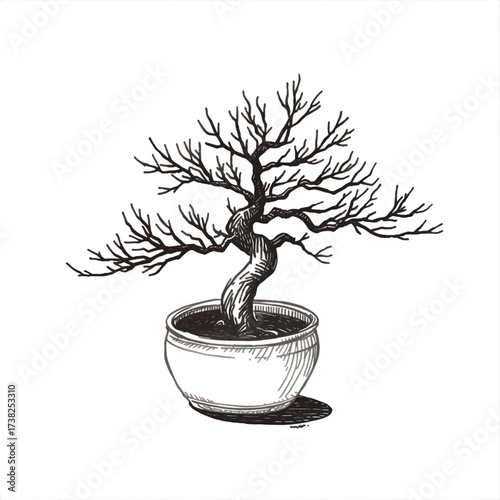 Elegant bonsai tree in a simple pot, showcasing intricate branches and a twisted trunk