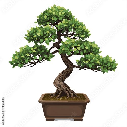 Elegant green bonsai tree with twisted trunk in a ceramic pot, symbolizing peace and nature