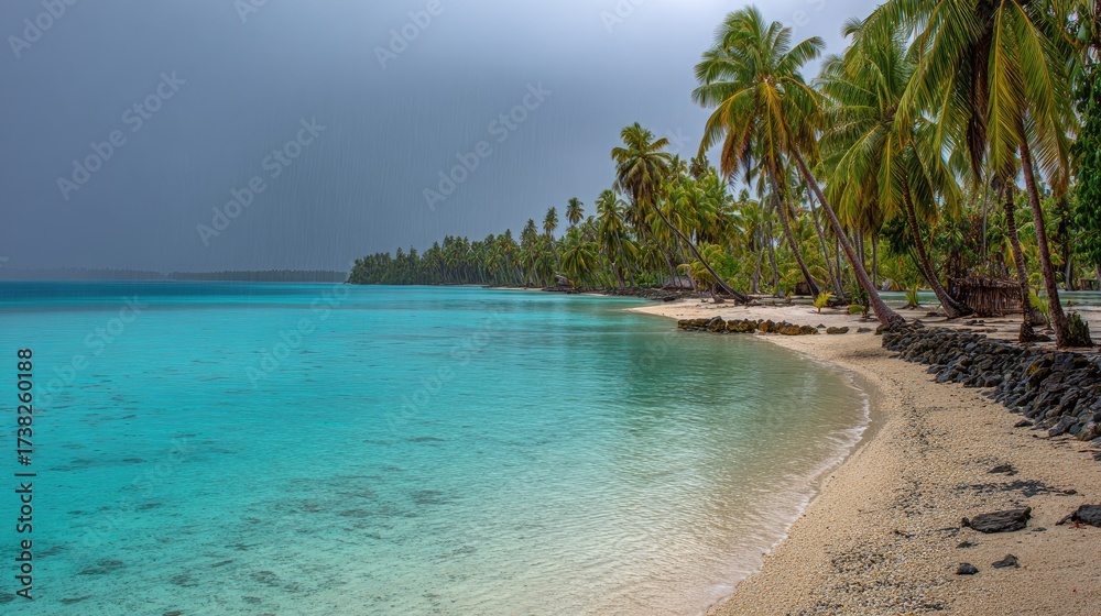 Fototapeta premium Tropical beach shoreline