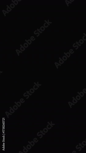 Halloween transition with spider on alpha