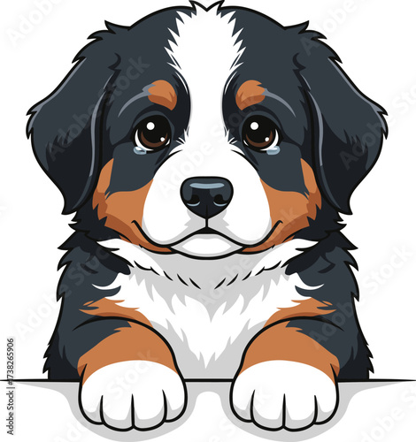Adorable bernese mountain dog puppy with big eyes peeking over a white surface