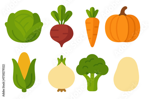 Assortment of fresh healthy organic vegetables and root crops for cooking
