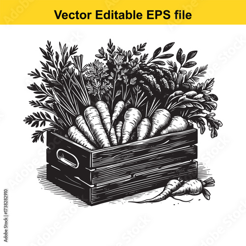 Vector art of wooden crate full of fresh carrots and root vegetables