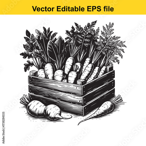 Vector art of wooden crate full of fresh carrots and root vegetable