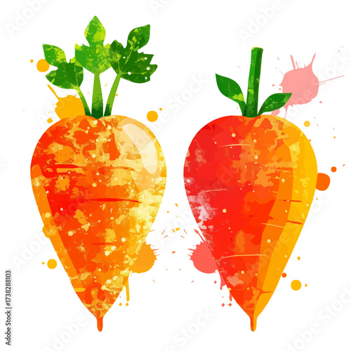 Vector illustration set, eps format, My Watercolor illustration, sliced drumstick vegetable painting isolated on a white background, EPS painting design