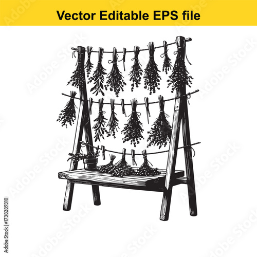 Vector art of drying herbs on a rack