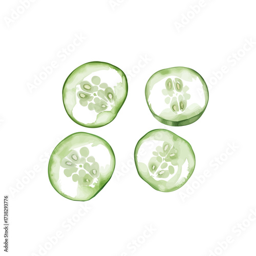 Vector illustration set, eps format, My Watercolor illustration, flat sliced pickled cucumber painting isolated on a white background, EPS design, fruit