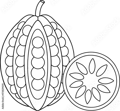 Outline sketch of babaco fruit and slice with seeds and pulp for culinary design and educational artwork