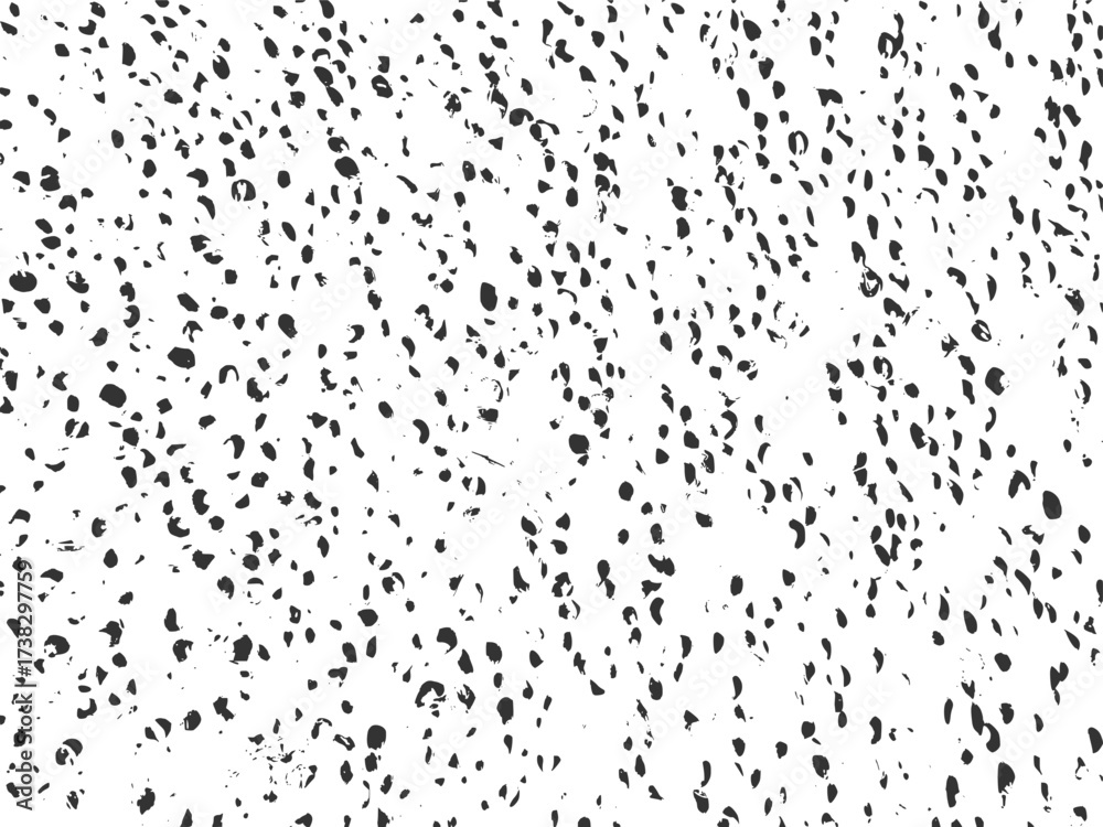 Obraz premium High resolution seed texture vector graphic design