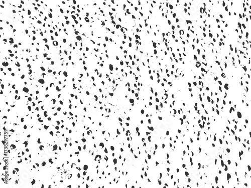 High resolution seed texture vector graphic design