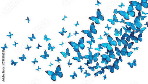 A swarm of bright blue butterflies fluttering in a dynamic formation isolated on white background