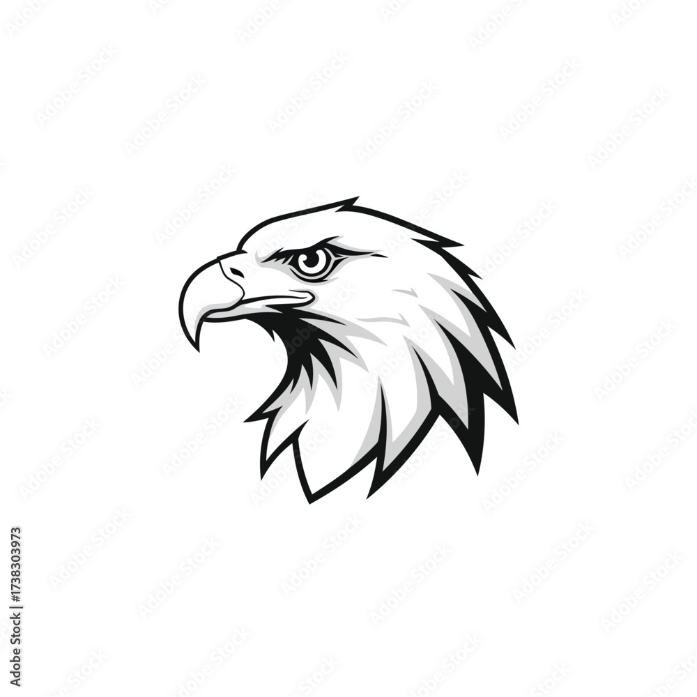 Fototapeta premium Eagle head illustration, vector graphic