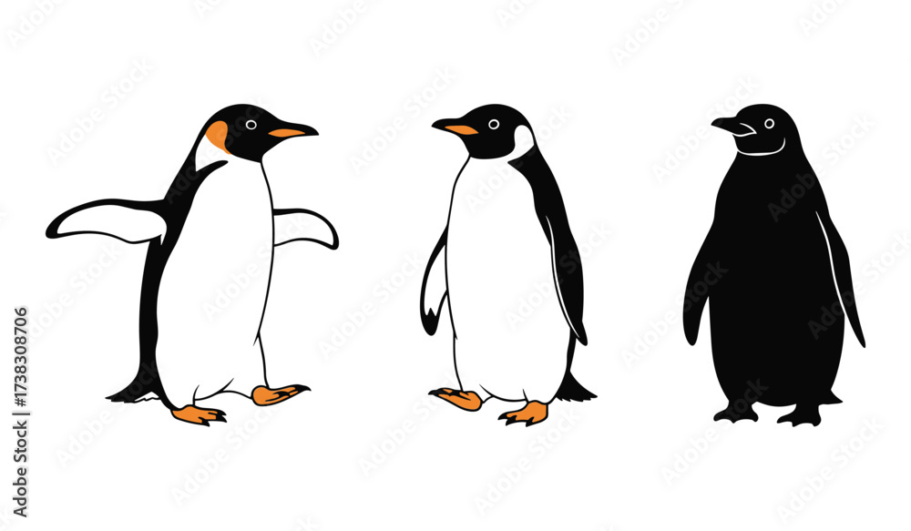 Obraz premium Three cartoon penguins black white orange feet white background illustration