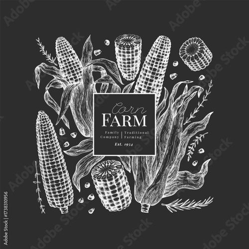 Hand Drawn Vector Sweet Corn Illustration. Not AI Generated. Autumn Seasonal Chalk Board Background. Fall Season Farm Banner. Vintage Harvest Design Template.