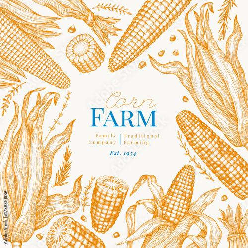 Hand Drawn Vector Sweet Corn Illustration. Not AI Generated. Autumn Seasonal Background. Fall Season Farm Banner. Vintage Harvest Design Template.