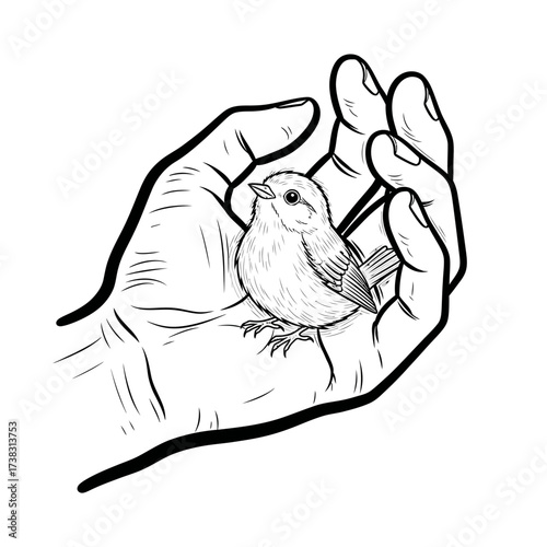 Bird resting in hand illustration delicate line art, symbolic nature sketch, care, protection, love artwork, minimalist drawing isolated on white background design.