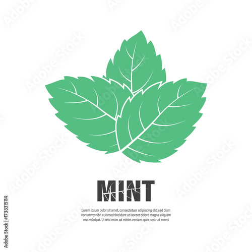 Mint leaf logo template vector symbol design
