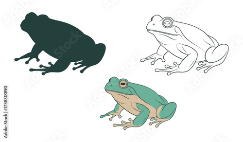 Three stylized frogs one silhouette one outline one colored illustration amphibian