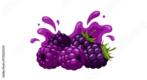 A vibrant illustration of fresh, ripe blackberries with a dynamic purple juice splash on a white background.